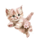 26 Funny Pink Easter PNG Clipart
