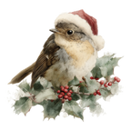 25 Whimsical Christmas PNG Clipart Bundle